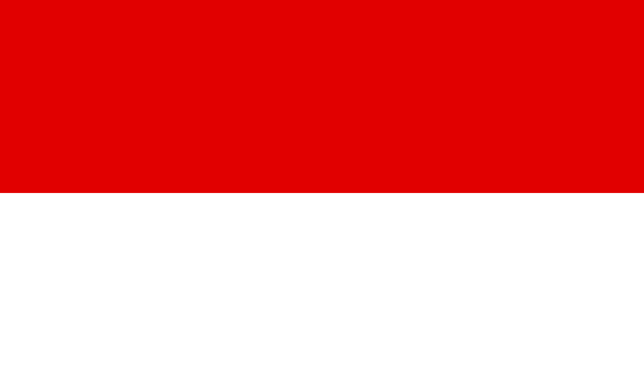 Виза в Индонезию_flag
