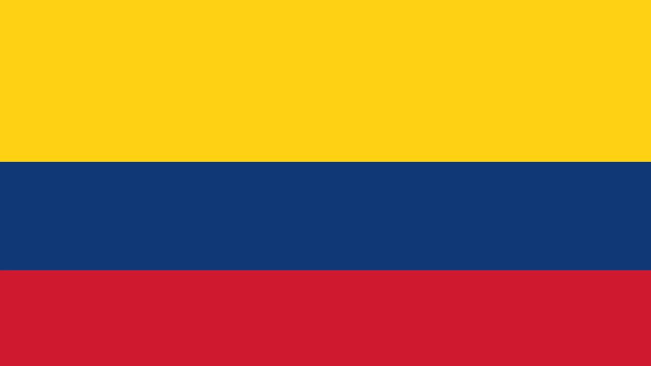 Виза в Колумбию_flag