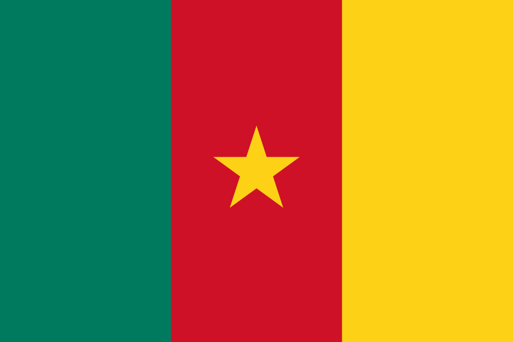 Виза в Камерун_flag